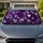 duiyfppz/products/6a6ad2ab305954474e2bc4de/gallery/-JS1QqF46O