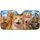 duiyfppz/products/6a6ad2fb3059545ffe2bc52d/gallery/AFiFfAgbBn