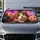 duiyfppz/products/6a6ad34a3cbf9a6c98bc1834/gallery/h1AXI03ozs