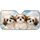 duiyfppz/products/6a6ad3a397408967f2987b53/gallery/SJIn4-fdpE