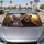duiyfppz/products/6a6ad3b5b7223c69e260ff8f/gallery/w9FLrAa5Tf