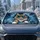 duiyfppz/products/6a6ad78f974089c99d989558/gallery/iQfvAMLo2K