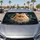 duiyfppz/products/6a6ad7a13cbf9a6497bc1f2e/gallery/HsdKAb_sdP