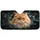 duiyfppz/products/6a6ad7a13cbf9a6497bc1f2e/gallery/erA1QdDmjl