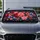duiyfppz/products/6a6ad89470078932222fae99/gallery/-6lMI3xOf8
