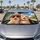 duiyfppz/products/6a6ad8cc3cbf9a351cbc214b/gallery/5DOd2FvW-c