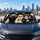 duiyfppz/products/6a6adbd3cc38e9ad04acde45/gallery/7-cnTqgB-k