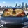 duiyfppz/products/6a6aedcecb8d9aae3f7e12e5/gallery/W_2Vgi56bS