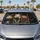 duiyfppz/products/6a6aeee6cc38e936a3ad1bd8/gallery/ompptVtE1M
