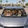 duiyfppz/products/6a6aef6ecc38e995e6ad1d2b/gallery/GI4xJgL3lH