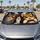 duiyfppz/products/6a6af1f0cb8d9a20697e1ae1/gallery/67NSTUUYIr