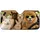 duiyfppz/products/6a6af4b1cb8d9a93217e20f4/gallery/VHC9N1ZjW2