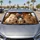 duiyfppz/products/6a6af8d49740890a4498eaaf/gallery/P3l52NhpMb