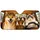 duiyfppz/products/6a6afa54305954069c2c3221/gallery/rrp1A7ITBa