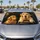 duiyfppz/products/6a6afdfb3cbf9a7db4bcb3b7/gallery/A37OohrfSz