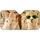 duiyfppz/products/6a6afe0c974089fb7a98f95b/gallery/EiGCLBD0BP