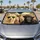 duiyfppz/products/6a6aff324490dca7dfa4ac59/gallery/Xkbi9DTDNj