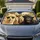 duiyfppz/products/6a6aff324490dca7dfa4ac59/gallery/aLwh7kgYQa