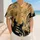 duiyfppz/products/6a6affc330595458252c400e/gallery/smKSU7QKtM