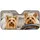 duiyfppz/products/6a6b00954490dc0a7ea4aeb4/gallery/yaEGW5D8Di