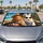 duiyfppz/products/6a6b0119cb8d9a1be97e4ac2/gallery/92PluLCq6U
