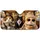 duiyfppz/products/6a6b012acb8d9ae7df7e4af4/gallery/Vvxz4ohJAM