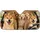 duiyfppz/products/6a6b0256b7223c799a61a2c3/gallery/2NK-TCrW-W