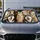 duiyfppz/products/6a6b02980cbb443b280c7ba0/gallery/pwEclLz8q8