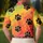 Black Paw Marks On Rainbow Sunset For Colorful Casual Outfits And Pet Lovers Everyday Men's Polo Shirt - 5
