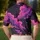 duiyfppz/products/6a700de44a2b2d3ef9a786e7/gallery/hEh31R8fRi