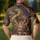 duiyfppz/products/6a70112881ace24d06a0271e/gallery/QfzqWApC4M
