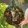 duiyfppz/products/6a70183304717d52b6a77095/gallery/gl3jk_wLbZ