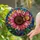 duiyfppz/products/6a701845cfb86aefafa2dbe4/gallery/oGYI434lAB