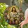 duiyfppz/products/6a701856bd9a9829258cf8dc/gallery/JWdHDM4pAq