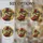 duiyfppz/products/6a7018a951251d704ce0fbe3/gallery/U3wmHyjmdL