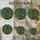 duiyfppz/products/6a70193d81ace2344ea03925/gallery/fGzf5oCbjo