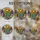 duiyfppz/products/6a7019dc81ace21873a03a43/gallery/cKDPfAJaN7