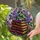 duiyfppz/products/6a7019ec4a2b2da2cda7a2a0/gallery/b19HKqYl66