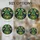 duiyfppz/products/6a7019fc4a2b2d03f6a7a2d6/gallery/5Vlg0t_FST