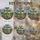 duiyfppz/products/6a701a9dcfb86a84f1a2e1d6/gallery/w3gJiFsRsw