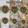 duiyfppz/products/6a701aac4a2b2d3321a7a483/gallery/ba5whJx7mp
