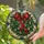 duiyfppz/products/6a701aac4a2b2d3321a7a483/gallery/nhE7f6_YW2