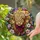 duiyfppz/products/6a701af37d01687be2d81ee1/gallery/gv8P35kyRZ