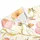 duiyfppz/products/6a701c3d51251dce6be10564/gallery/yvEbBPb4mh