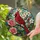 duiyfppz/products/6a701c6bbd9a989c608d046b/gallery/gEMeoM-oQN
