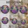 duiyfppz/products/6a701c7a04717daf10a7796f/gallery/dzT-ujSohW
