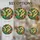 duiyfppz/products/6a701cabbef49a6b79e76656/gallery/zs4RHbVr-v