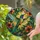 duiyfppz/products/6a701cabbef49a6b79e76656/gallery/zzByebvJXM