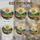 duiyfppz/products/6a701d1925ad9f4ea88e32f5/gallery/hDS1UUN33I