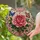 duiyfppz/products/6a701d376a9ad5569dfdece5/gallery/t18TRZaHZA